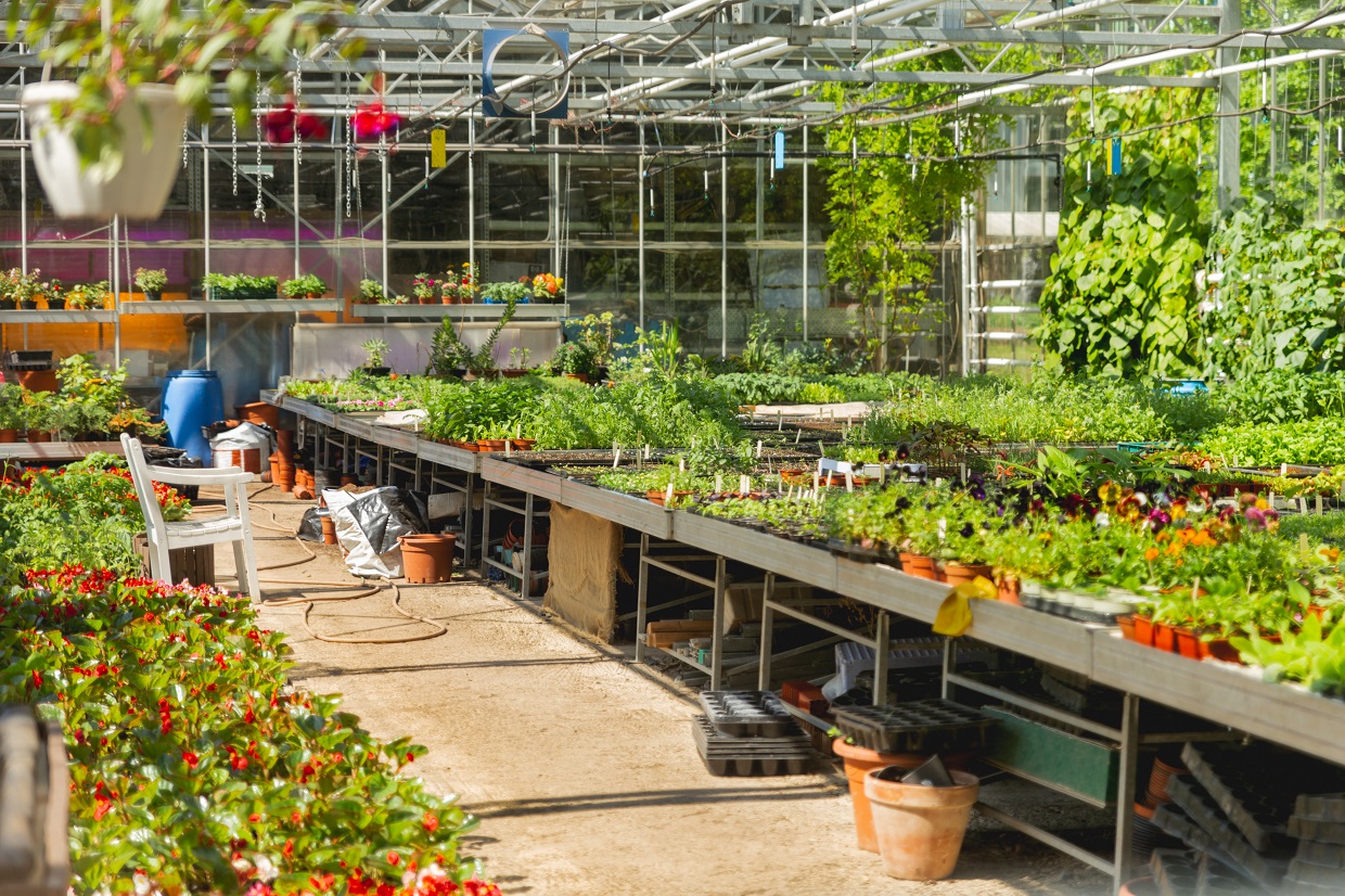Herbs _ Vegetables Edgebrook IL